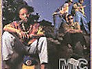 Brand Nubian - Wake Up - 12 Inch Vinyl