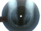 Elvis Presley - I Want To Be Free  X-RAY USSR ROENTGEN Bones Record
