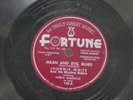 Johnnie White 78 Mean & Evil Blues bw Tattooed Lady on Fortune Skeet's McDonald