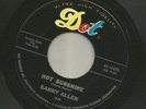 POPCORN EXOTICA - BARRY ALLEN  - HOT SUNSHINE  - HEAR - 1964 DOT