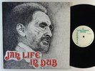 REVOLUTIONAIRES/ROOTS RADICS Jah Life In Dub LP on Revolutionary Sounds
