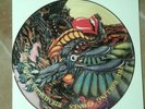 Rolling Stones - Birmingham Odeon 1973 (Picture Disc LP)