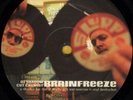 RARE DJ Shadow Cut Chemist Brainfreeze 12