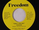 FREEDOM: Can't You See / Sunshine 45 rare Soul