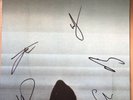 Foals What Went Down Signed Vinyl
