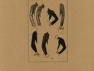 NORMAL BRAIN - Lady Maid - Vinyl (LP)