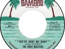 The Voice Masters - You've Hurt Me Baby