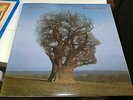 PINK FLOYD- -BRAVE NEW WORLD-LP COME NUOVO NON SIGILLATO-LIVE NEW YORK CITY 1977
