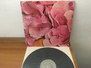 STILL LIFE - S/T - Prog.Rock Italian Vertigo Swirl 6360026 L LP NM-- 1971