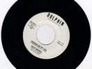 NORTHERN SOUL 45RPM - DALE BROOKS ON DOLPHIN - RARE PROMO   BOTH SIDES GREAT