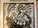 WIDESPREAD PANIC-WIDESPREAD PANIC VINYL 2 Lp Phish Grateful Dead