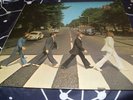 Vinyl 12