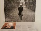 Emmylou harris all i intended to be vinyl original 2008 press very rare mint