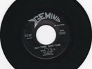 RARE 1967 GARAGE PSYCH 45 - THE F.B.I - DAY-TIME NITE-TIME/WHAT AM I TO DO