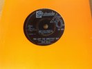 Mary Wells - You Lost The Sweetest Boy  -  Stateside  SS342 (Motown) EX-/EX