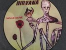Nirvana - Incesticide Picture Disc RARE