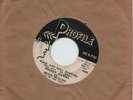 Mickey Hawks: Rock And Roll Rhythm/Bip Bop Boom  Rockabilly 45 VG+ 1959