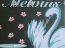 The Melvins Stoner Witch LP Music On Vinyl re-issue 180g vinyl