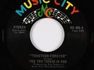 Sweet Soul/Funk 45 - Two Things In One - Together Forever - Music City VG++ mp3