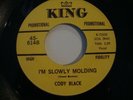 Rare CODY BLACK - I'm Slowly Molding / Keep On Keeping On 7