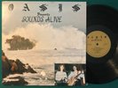 OASIS Sounds Alive LP PRIVATE Xian FEMALE LONER FOLK PSYCH Rare HEAR Mp3