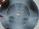 Who - Happy Jack X-RAY USSR ROENTGEN Bones Record