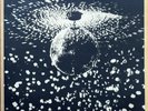 NEIL YOUNG & CRAZY HORSE - MIRROR BALL - DOUBLE LP - AS NEW - Reissue.