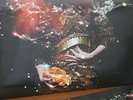 Björk Biophilia - 2X 12