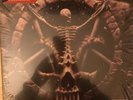 Divine Intervention [PA] by Slayer (Vinyl, Oct-2013, American Recordings (USA))