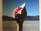 The Killers ?– Wonderful Wonderful Limited Edition RARE Pink Vinyl (MINT)