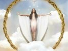 Rosalia - El Mal Querer - LP Vinyl - New