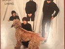 The Beatles - Silver Lining Lp Rare