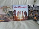 CUBY + BLIZZARDS Groeten uit Grollo Sometimes Afscheidsconcert Psych Blues LP NM