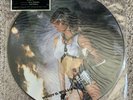 Wendy O Williams - W.O.W. Picture Disc Vinyl LP w/Hype -  - KISS