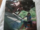 JOHN HARTFORD ALL IN THE NAME OF LOVE VINYL LP 1977 FLYING FISH RECORDS BOOGIE