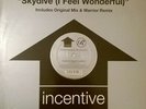 Freefall Featuring Jan Johnston - Skydive (I Feel Wonderful), 12