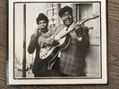 Johnny Young & Big Walter- Chicago Blues- Arhoolie F1037 - SEALED