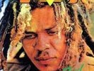 FRED LOCKS: BLACK STAR LINER IN DUB (LP vinyl *BRAND NEW*)