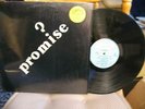 PROMISE SELF TITLED POWER POP / PSYCH LP ON CUMULUS C180SG M- AND IN THE SHRINK