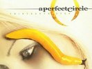 A Perfect Circle - Thirteenth Step Vinyl 2LP NEU 0550007