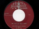DOOWOP-HOLLYWOOD 1071-JOE LYONS/ARROWS-NO END TO TRUE LOVE/ONE TOO MANY TIMES