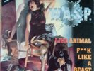 WASP - Animal (live) - 12