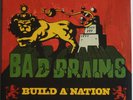 BAD BRAINS - Build A Nation LP - LIMITED COLORED VINYL ALBUM - Rasta Punk Record