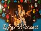 Trex In Concert Vinyl Lp