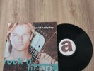 DAVID HALLYDAY  33 TOURS 