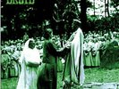 DRUID - Druid - LP (colour) Nasoni