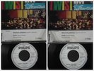Rattles 7