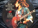 Bob Marley One Love Rare Collectable Vinyl 12