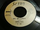 Grail Rockabilly  Thunder Rocks 45 RARE Detroit VG+ Oh, My Linda/Hollywood SABRE