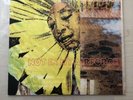 Robert Pollard ?– Not In My Airforce (Guided by Voices/Original Pressing)